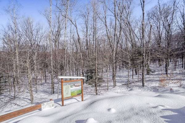 23 Ch. du Trappeur, Mont-Tremblant — photo 33