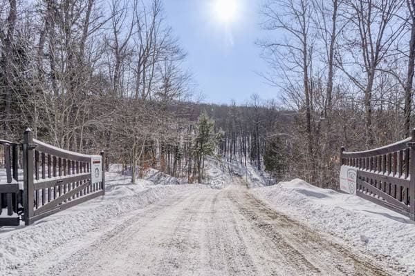 23 Ch. du Trappeur, Mont-Tremblant — photo 34