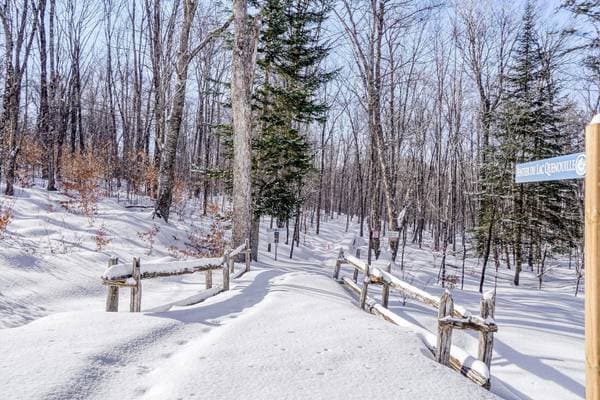 23 Ch. du Trappeur, Mont-Tremblant — photo 35