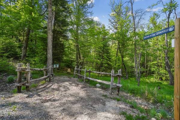 23 Ch. du Trappeur, Mont-Tremblant — photo 6