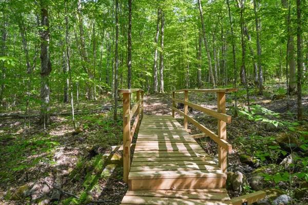 23 Ch. du Trappeur, Mont-Tremblant — photo 10