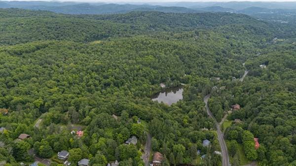Ch. du Grand-Ruisseau, Saint-Sauveur — photo 11