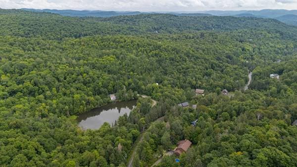 Ch. du Grand-Ruisseau, Saint-Sauveur — photo 12