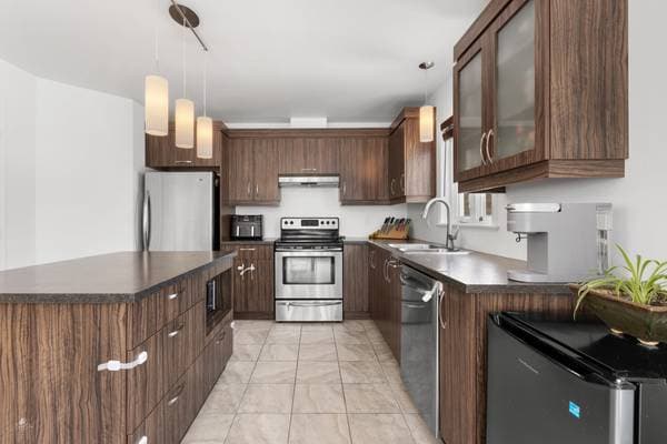 1204 Rue des Merisiers, Lévis (les Chutes-de-la-Chaudière-Ouest) — photo 20