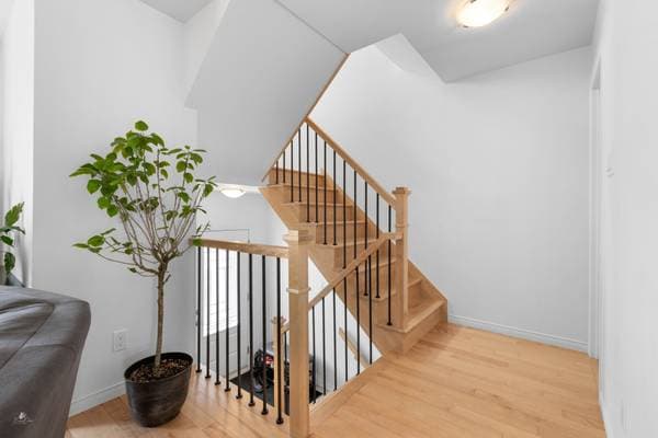 1204 Rue des Merisiers, Lévis (les Chutes-de-la-Chaudière-Ouest) — photo 30