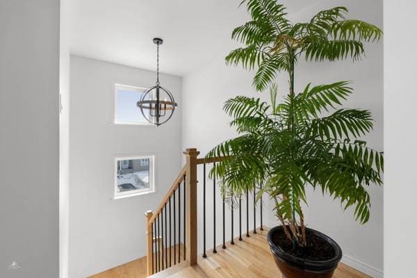 1204 Rue des Merisiers, Lévis (les Chutes-de-la-Chaudière-Ouest) — photo 31