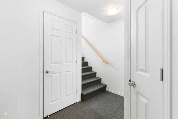 1204 Rue des Merisiers, Lévis (les Chutes-de-la-Chaudière-Ouest) — photo 41