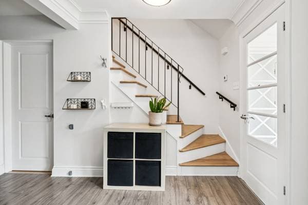 24 Place de Grandpré, Lorraine — photo 4