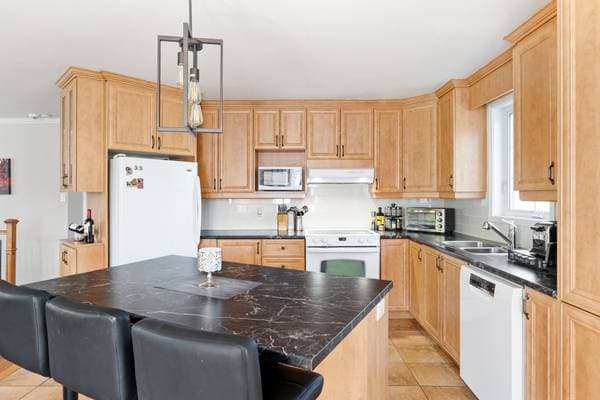 121 Rue Janelle, Deschambault-Grondines — photo 13