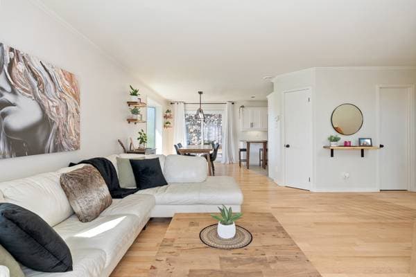 ,  — photo 5
