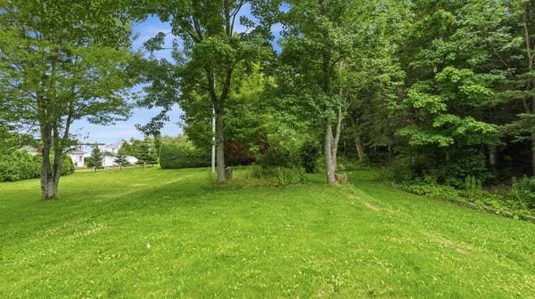 2012 Route Principale, Saint-Nérée-de-Bellechasse — photo 18