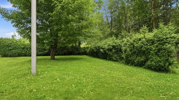 2012 Route Principale, Saint-Nérée-de-Bellechasse — photo 19