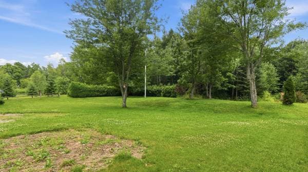 2012 Route Principale, Saint-Nérée-de-Bellechasse — photo 21