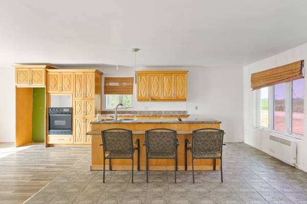 16 Rg St-François-Xavier, Sainte-Cécile-de-Lévrard — photo 9