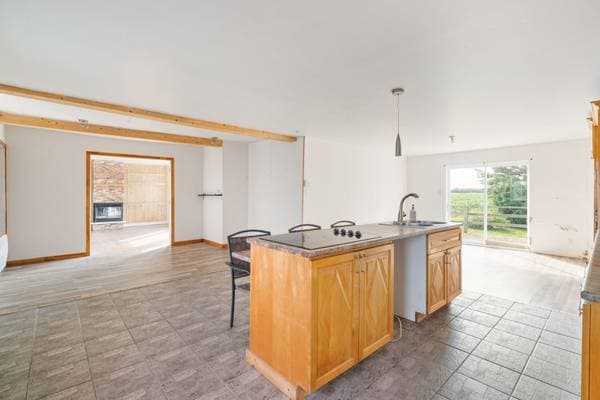 16 Rg St-François-Xavier, Sainte-Cécile-de-Lévrard — photo 10