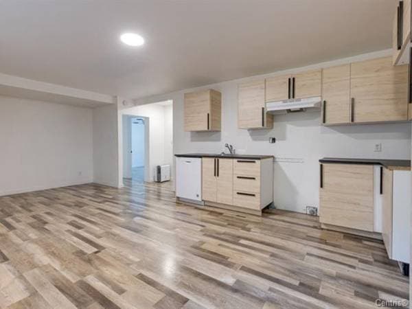 9861X -9863Z Rue Limoges, Mirabel — photo 24