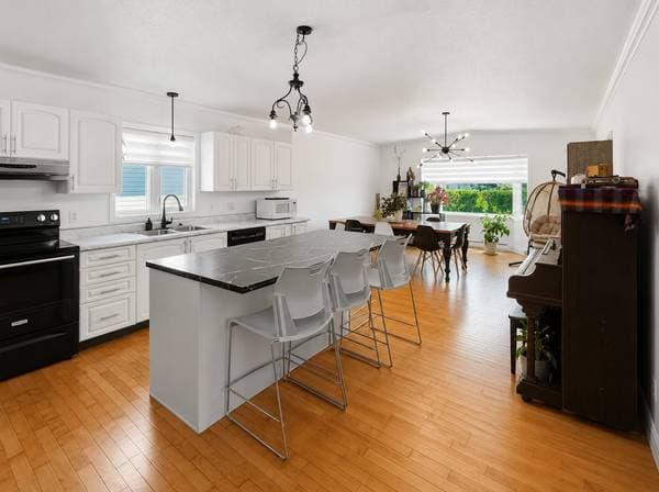 25 Rue Desrochers, Ville-Marie — photo 10