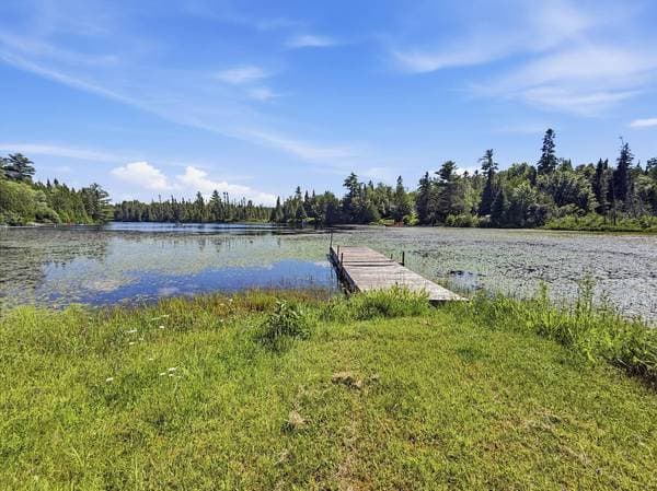 118 Ch. du Lac-des-Baies, Témiscaming — photo 21