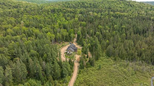 1250 Ch. du Village, Morin-Heights — photo 39