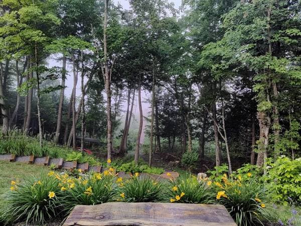 10 Ch. de l'Oxalis, Harrington — photo 49