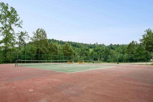 21 Ch. de la Vallée-Bleue, Val-David — photo 19