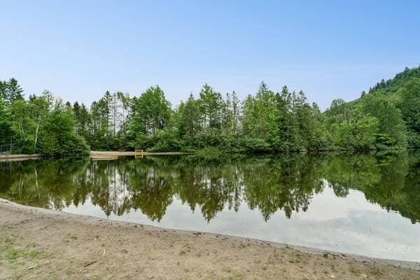 21 Ch. de la Vallée-Bleue, Val-David — photo 4