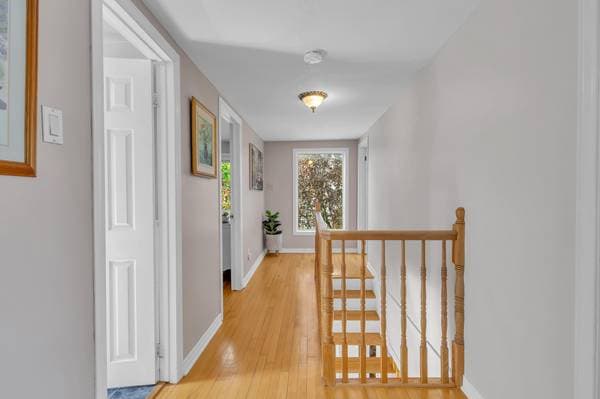 319 Rue Gauthier, Gatineau (Gatineau) — photo 15