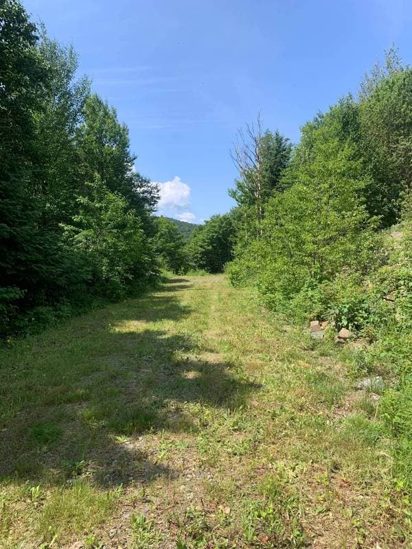 5 Ch. Nathalie, Notre-Dame-des-Bois — photo 6