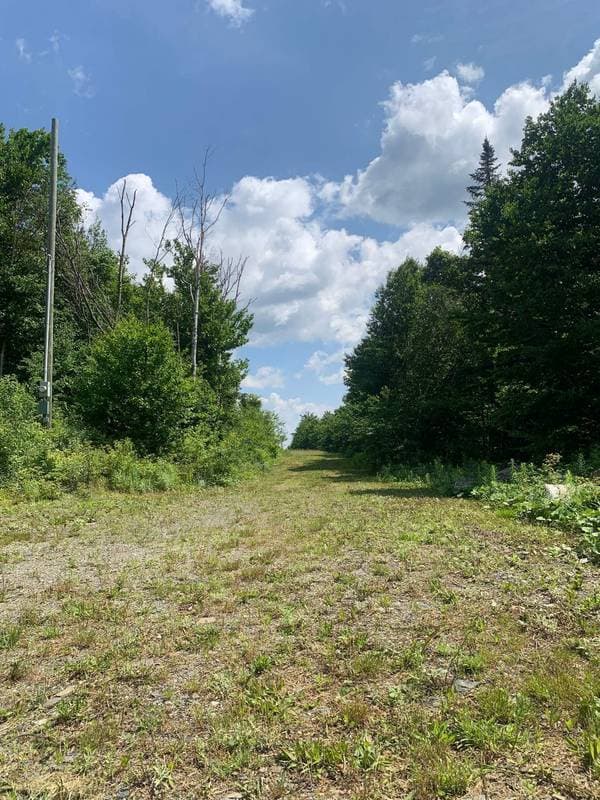 5 Ch. Nathalie, Notre-Dame-des-Bois — photo 7