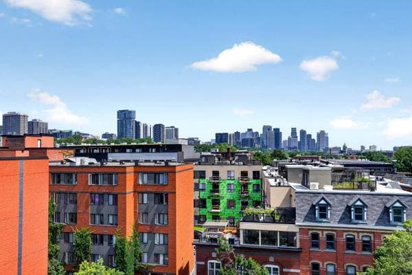 701 Rue Irène #101, Montréal (le Sud-Ouest) — photo 21
