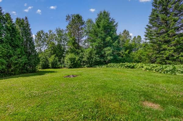 267 Ch. des Saules, Lac-Sergent — photo 46