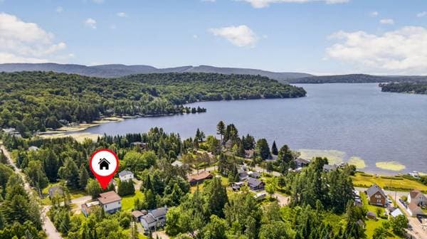 267 Ch. des Saules, Lac-Sergent — photo 10