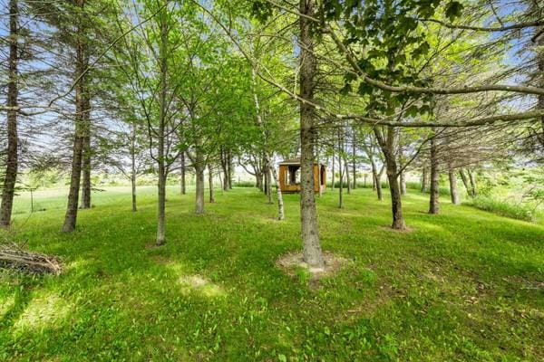 500 Route Marie-Victorin, Baie-du-Febvre — photo 47
