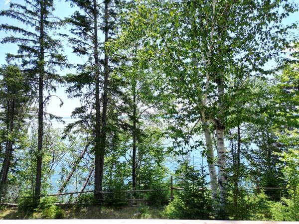91 Route de la Pointe-Fleurant, Escuminac — photo 26