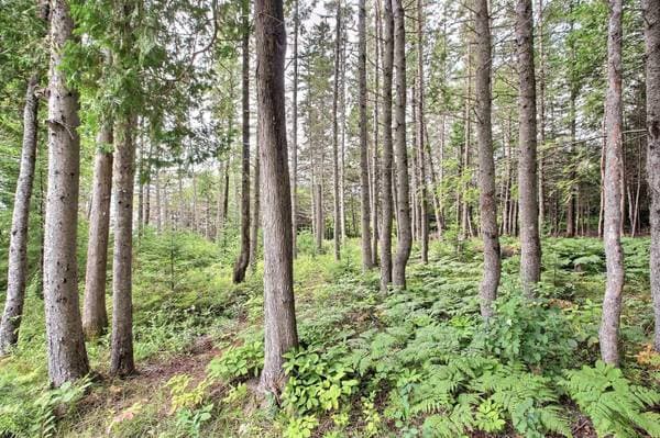 91 Route de la Pointe-Fleurant, Escuminac — photo 27