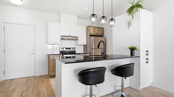 2530 Rue Maurice-Savoie #407, Longueuil (le Vieux-Longueuil) — photo 3