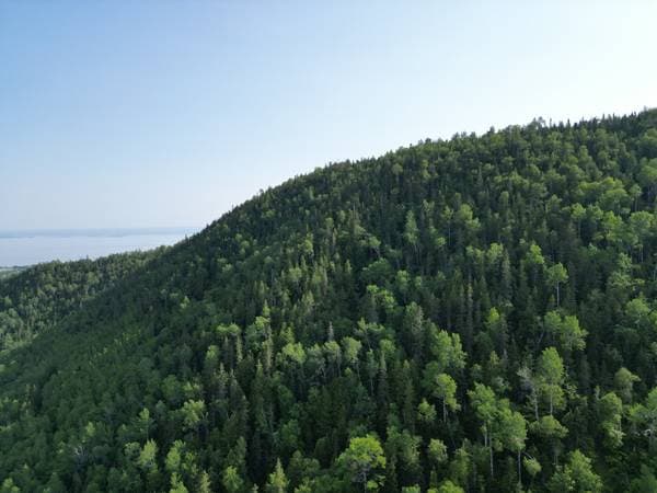 land — 2e Rang, Carleton-sur-Mer