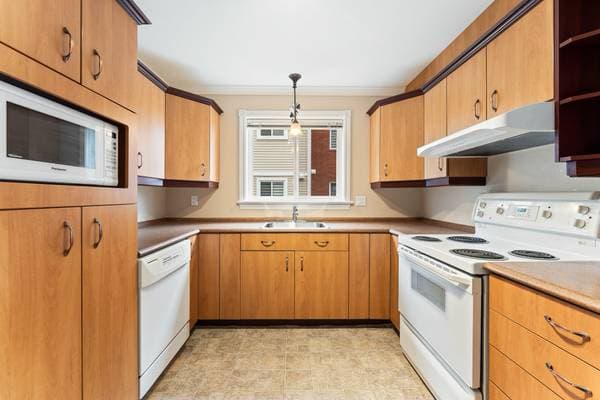 3490 Rue Thérèse-Casgrain #507, Sherbrooke (les Nations) — photo 16