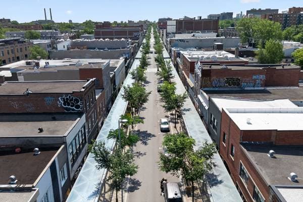 6660 Rue St-Hubert, Montréal (Rosemont/la Petite-Patrie) — photo 28