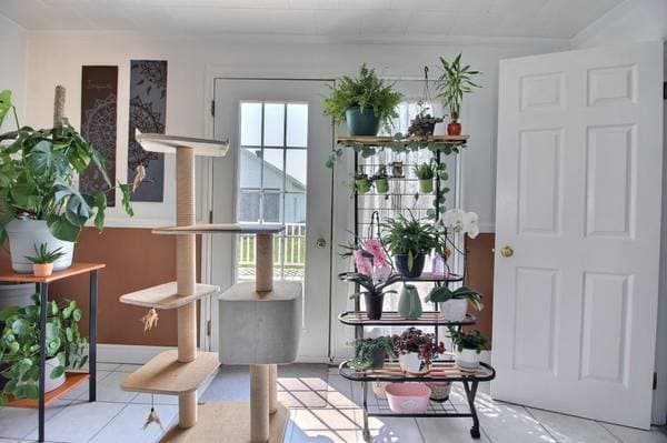 20 4e Avenue O., Paspébiac — photo 10