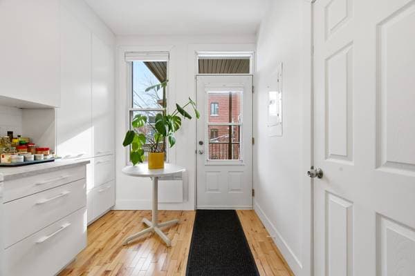 1470 Av. Laurier E., Montréal (le Plateau-Mont-Royal) — photo 21