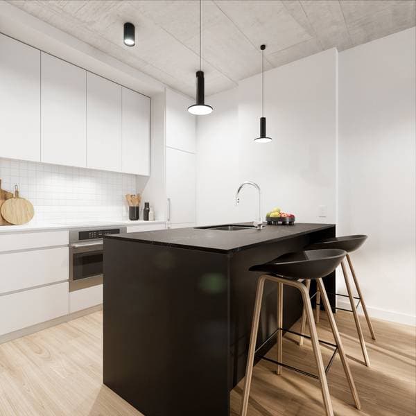 3045 Boul. de l'Assomption #224, Montréal (Mercier/Hochelaga-Maisonneuve) — photo 2