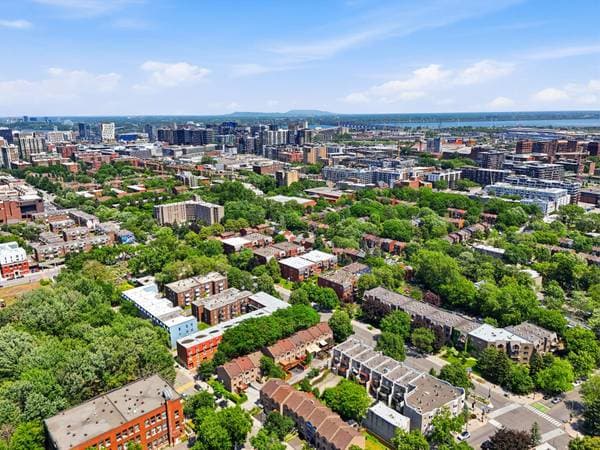 1940 Rue St-Jacques #101, Montréal (le Sud-Ouest) — photo 30
