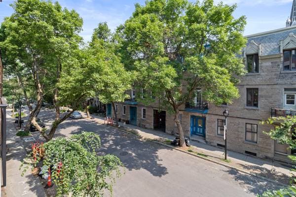 1184 Rue Plessis #302, Montréal (Ville-Marie) — photo 10