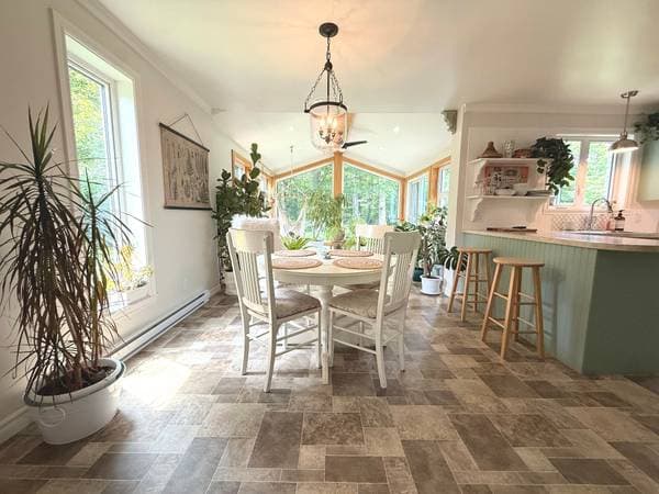 405 Rue des Érables, Sainte-Anne-de-la-Pocatière — photo 18