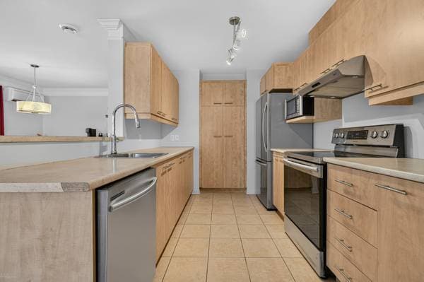 3922 Boul. Ste-Rose #2, Laval (Laval-Ouest) — photo 12