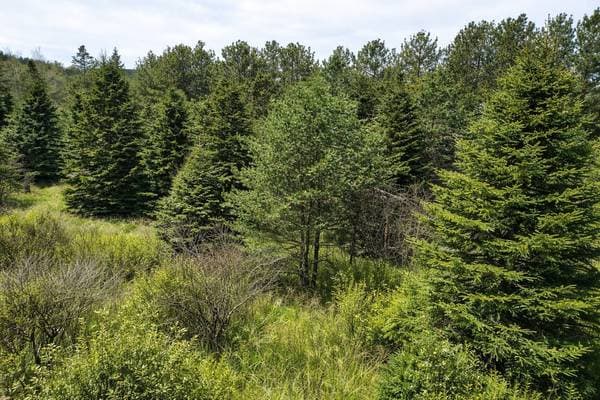 Route 132 E., Nouvelle — photo 6