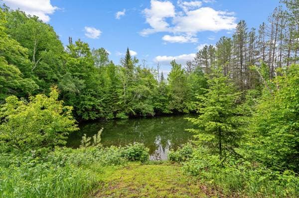 272 Mtée Desjardins, Lac-Supérieur — photo 48