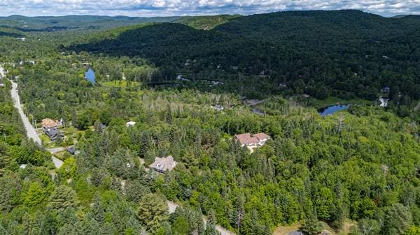 5573 Rue Morin, Val-Morin — photo 75