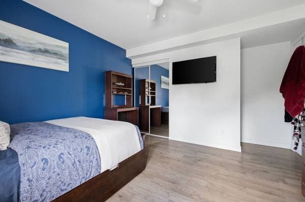 784 Rue Maclaren E. #2, Gatineau (Buckingham) — photo 22